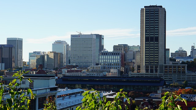 Buildings in a big city seen from distance.